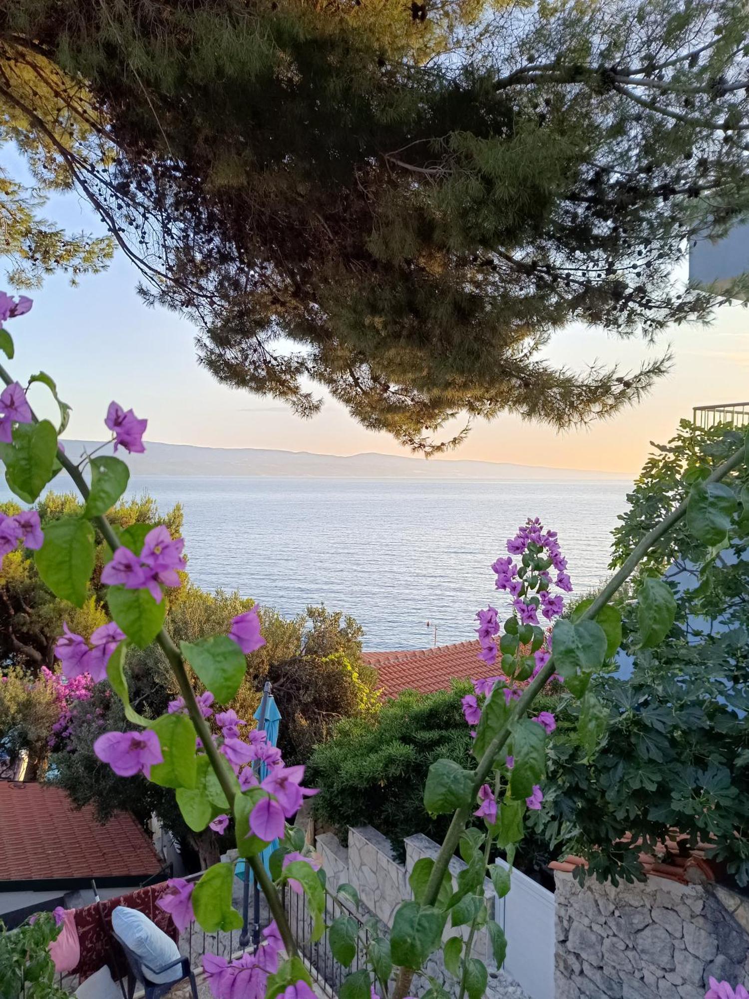 Studio Apartmani Tucic Celina Exteriör bild